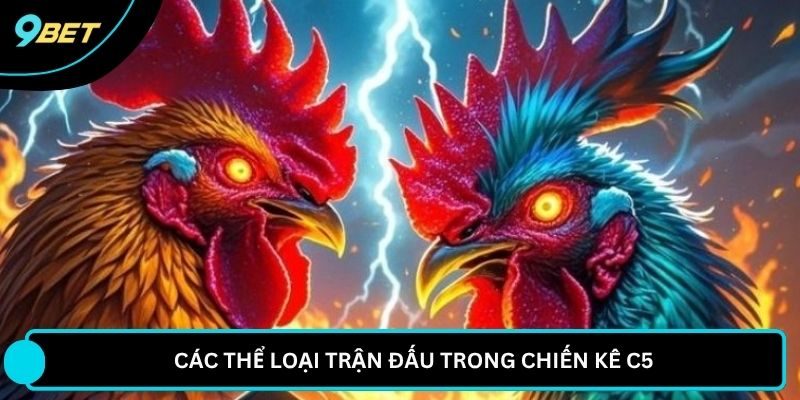Các thể loại trận đấu trong chiến kê C5