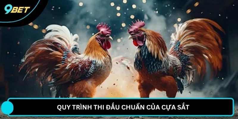 Quy trình thi đấu chuẩn của cựa sắt